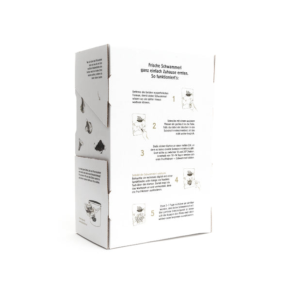 Aktionspaket: Pilze im Karton