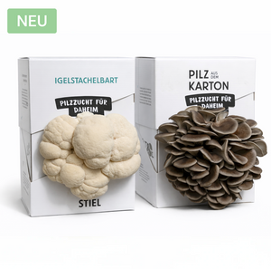 Aktionpaket Igelstachelbart & Austernpilz aus dem Karton