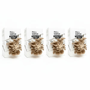 Aktionspaket Pilze im Karton (Bundle)