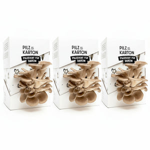 Aktionspaket Pilze im Karton (Bundle)