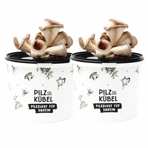 Aktionspaket Pilz aus dem Kübel (Bundle)