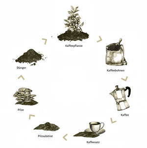 Aktionspaket Pilz aus dem Kübel (Bundle)